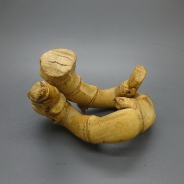 Bambu Bertuah Bentuk Unik  Pring Gancet